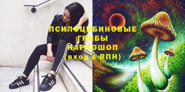 прущие крисы Аркадак