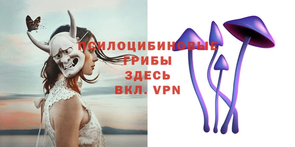 метадон Армянск