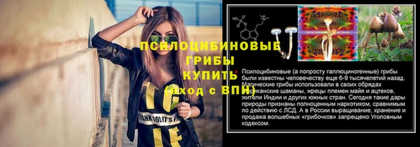 метадон Армянск
