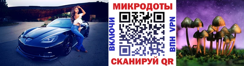 где можно купить   Можга  ссылка на мегу зеркало  Галлюциногенные грибы Magic Shrooms 